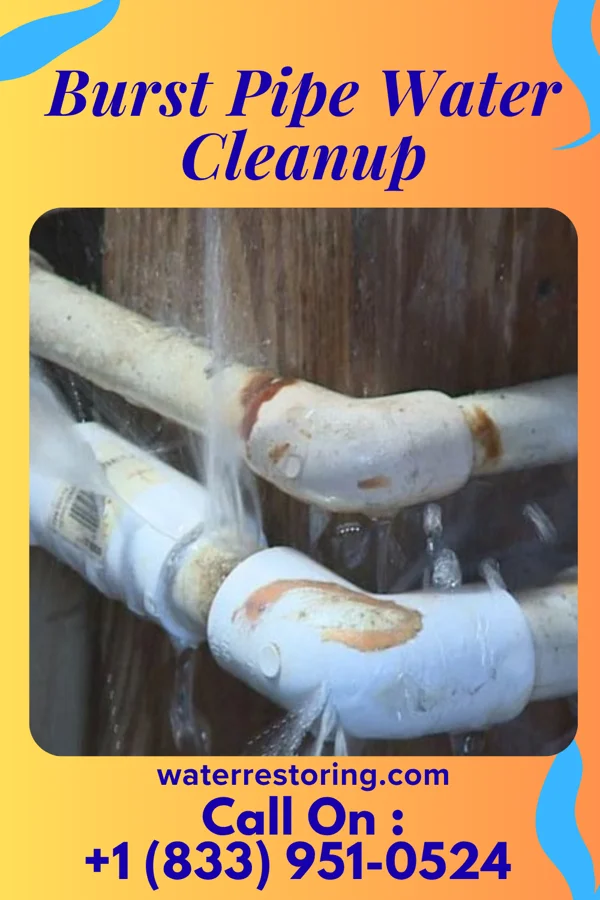 Burst Pipe Water Cleanup in Wake Forest, NC