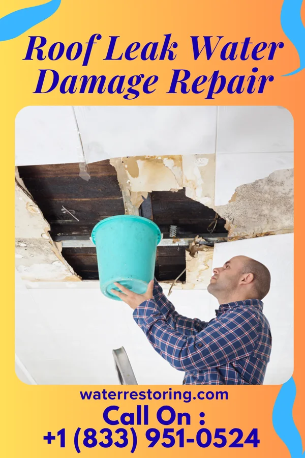 Roof Leak Water Damage Repair in Wake Forest, NC