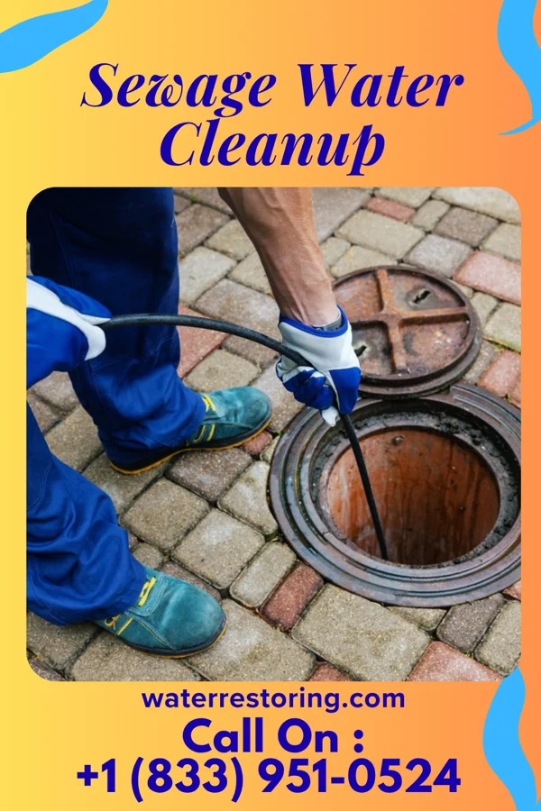 Sewage Water Cleanup in Wake Forest, NC